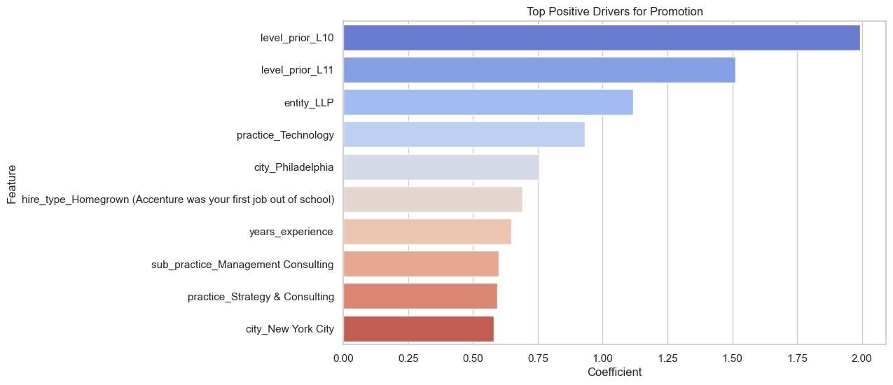 Top Promotion Drivers